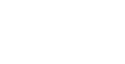 logo: MSA CESS